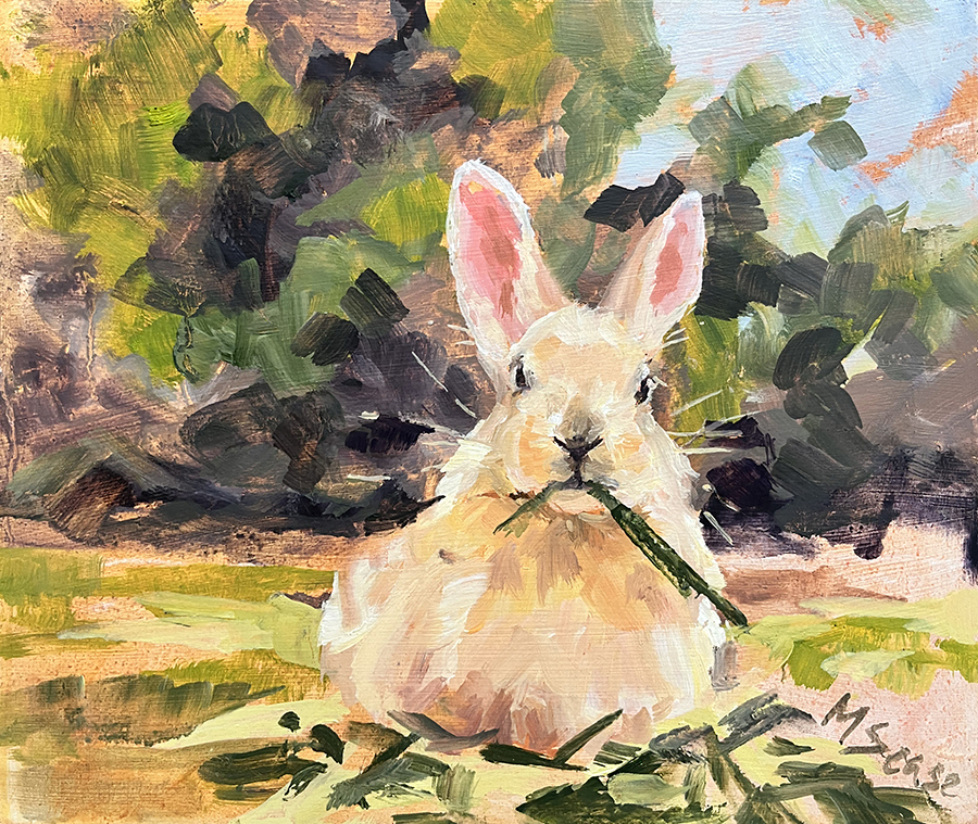 Wild Bunny